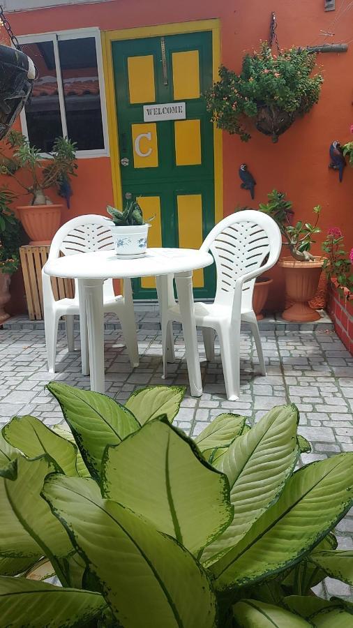 Terrakota Apartments 빌렘스타트 외부 사진